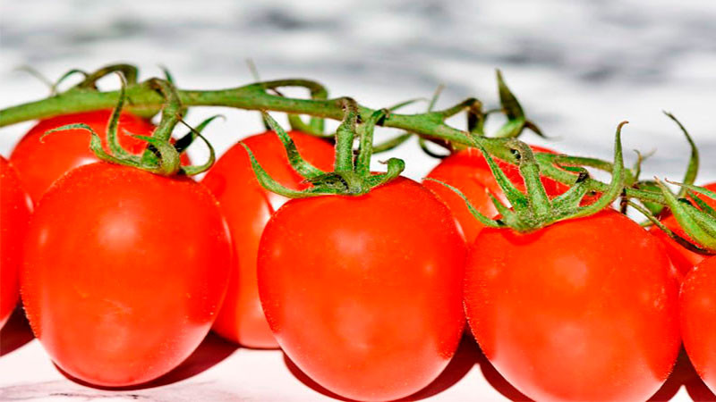 México está en desacuerdo con el arancel impuesto por EU al jitomate 