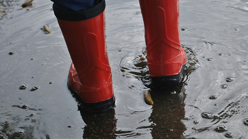 Recientes lluvias torrenciales ha dejado 105 casas afectadas en el municipio de Querétaro