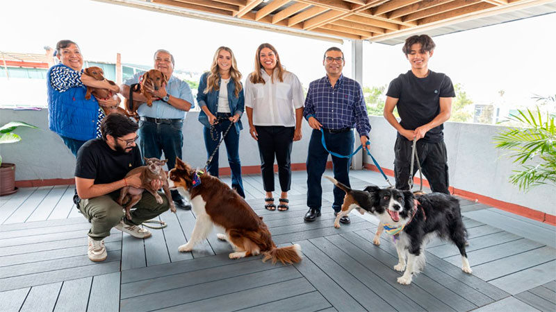 “Una sociedad que cuida a los animales es una sociedad más empática, más justa y más sensible