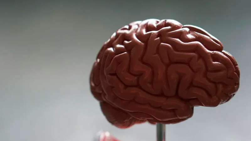 En México los infartos cerebrales afectan a personas cada vez más jóvenes, alerta especialista