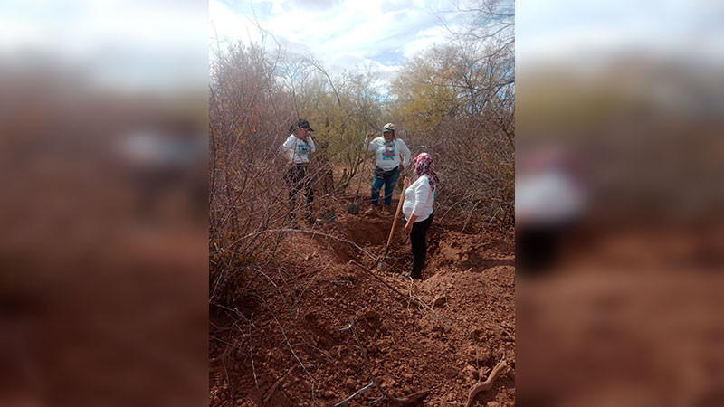 Buscadoras por la Paz encuentran 8 cuerpos en cerro de Pitiquito, Sonora 