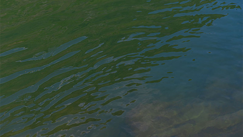 Reportero tropezó con cuerpo de una menor desaparecida, mientras hacía un reportaje sobre el caso