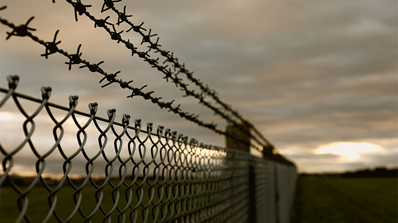 Arriban 2 mexicanos tras ser liberados de la prisión de Alcatraz de los Caimanes en Estados Unidos 