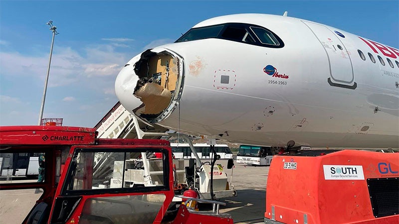 Pájaro se estrella con parte frontal de un avión y obliga a realizar aterrizaje de emergencia en Madrid; no se reportaron heridos