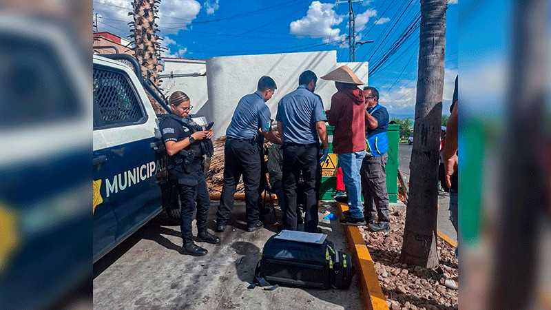 Comerciante atropellado en avenida de La Luz en Querétaro 