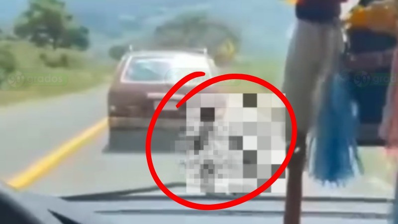 Mujer arrastra a un perrito amarrado con su automóvil en la carretera Morelia–Quiroga; Fiscalía investiga caso por maltrato animal