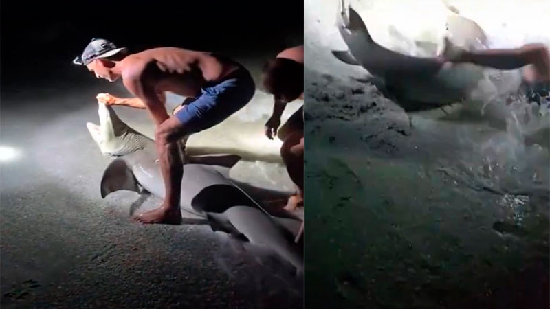 Pescador es mordido por tiburón al intentar sacarse una foto en Florida