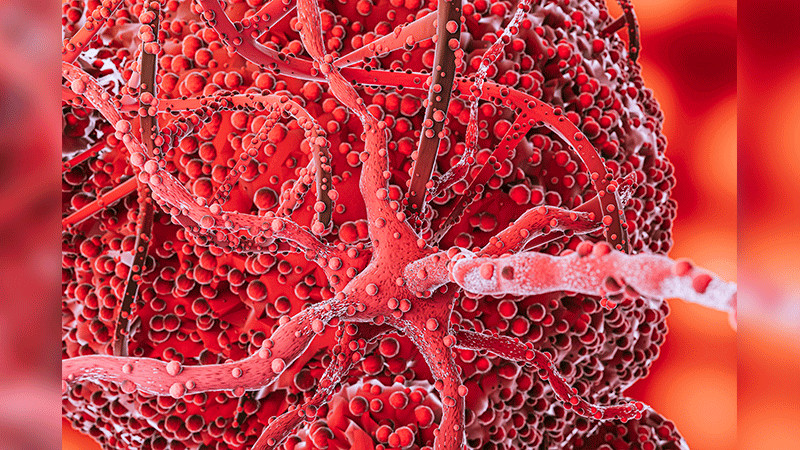 La legionelosis aumenta en Nueva York; hasta el momento hay 112 casos confirmados y 6 personas fallecidas