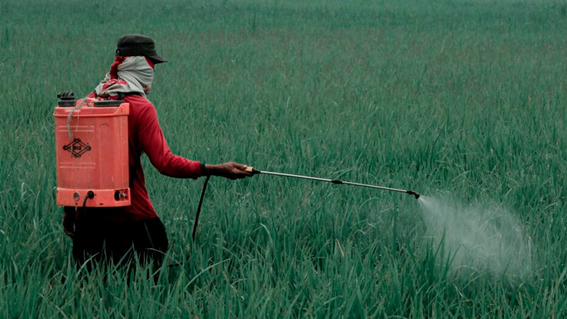 Gobierno prohíbe 35 plaguicidas altamente peligrosos