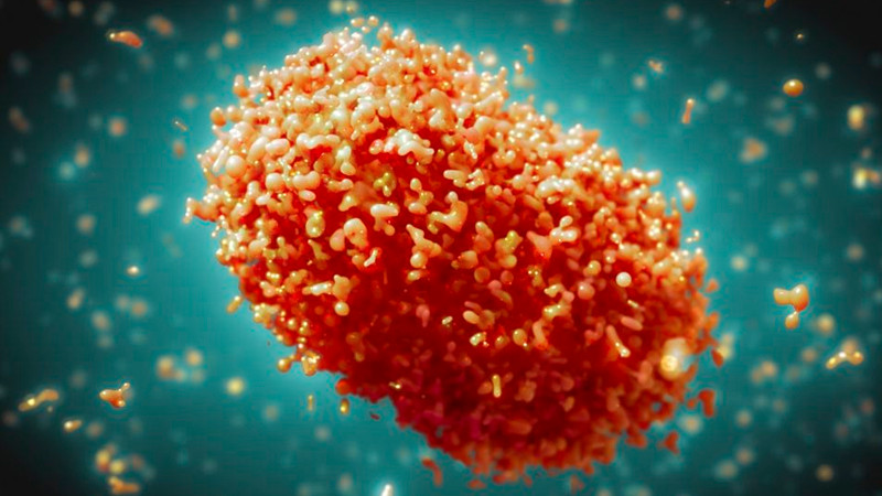 OMS levanta la emergencia sanitaria internacional por Mpox, ante disminución de casos