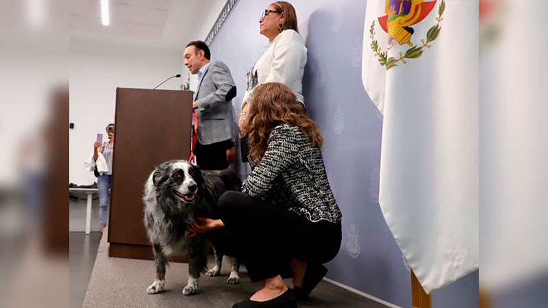 Presentan iniciativa de Decreto que Expide la Ley para el Control Ético Poblacional de Perros y Gatos, y Protección de la Salud Pública Humana y Ambiental para el Estado de Querétaro