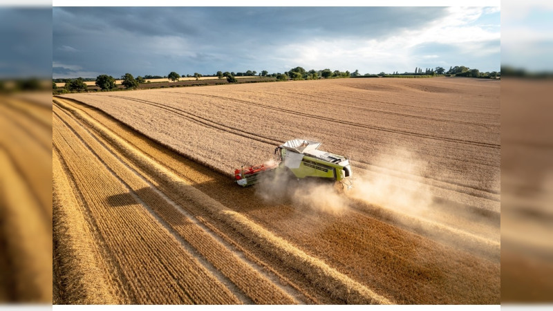 Necesario fortalecer programas de apoyo a la productividad del campo
