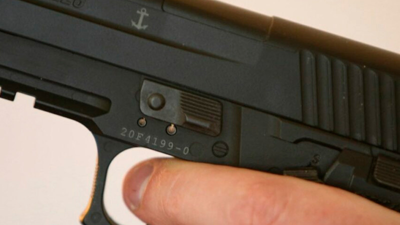 Corte de Florida declara inconstitucional prohibición de portar armas de fuego en público