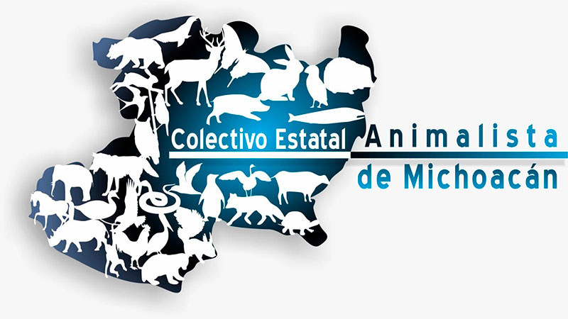 Asociaciones animalistas de Michoacán gritan “¡Ya basta!” al envenenamiento masivo de perros y gatos