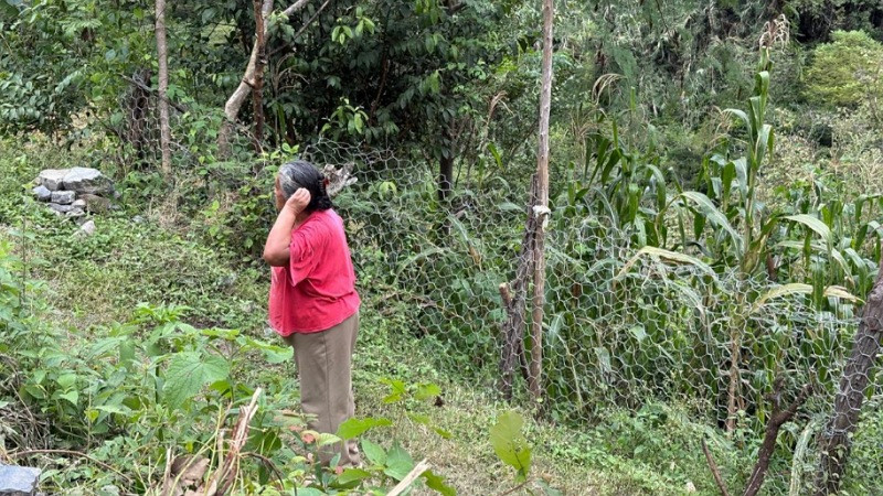 Entregan más de 70 apoyos sociales a familias afectadas por las lluvias en Querétaro