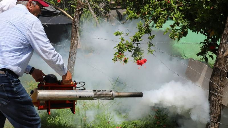 Seis personas han muerto por dengue tras lluvias en el sur de Tamaulipas
