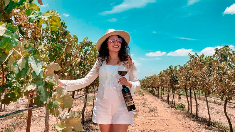 Avanza el proceso de regularización jurídica de los viñedos queretanos