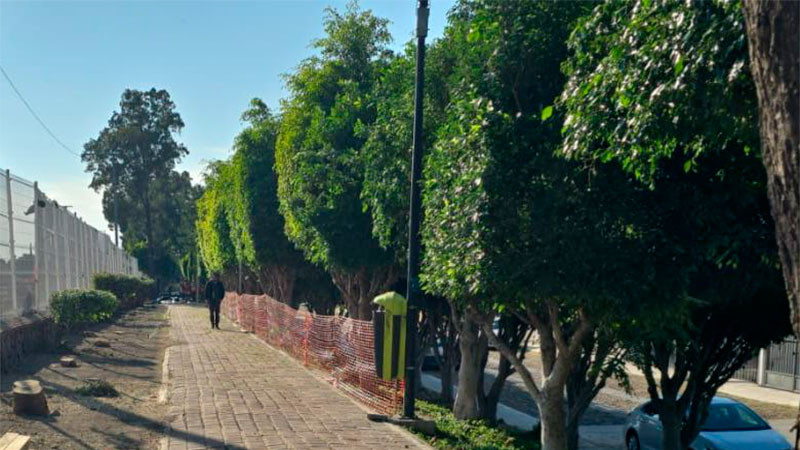 Derribarán árboles en parque lineal Las Hadas del municpio de Querétaro por derecho vía