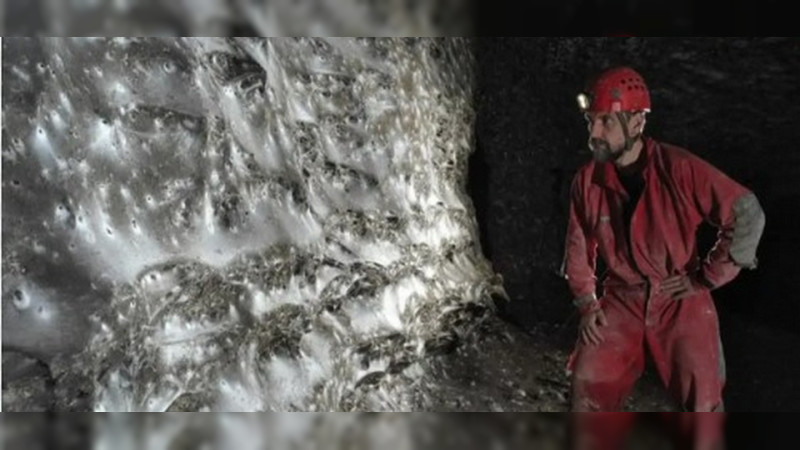 Descubren telaraña con más de 100 mil arañas en una cueva entre Albania y Grecia; es la más grande descubierta