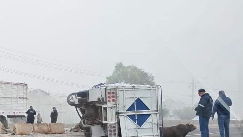 Colapsa la carretera a Bernal por choque y volcadura en Colón, Querétaro