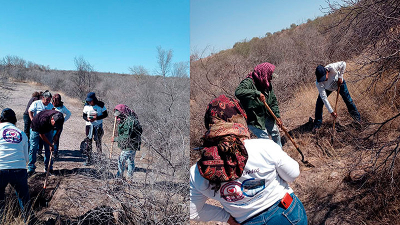 En el marco del 25N Sheinbaum reitera su apoyo a las madres buscadoras
