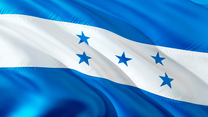 EEUU exige ante la OEA elecciones libres de injerencia política y fraude en Honduras